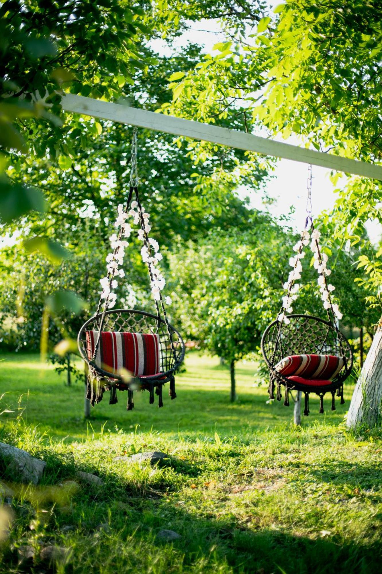 Green Garden Glamping Retezat Balan  Exterior foto